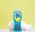 🍋🫐 SOFTSOAP ENERGIZING – CITRUS & BERRY SPLASH 591 ML